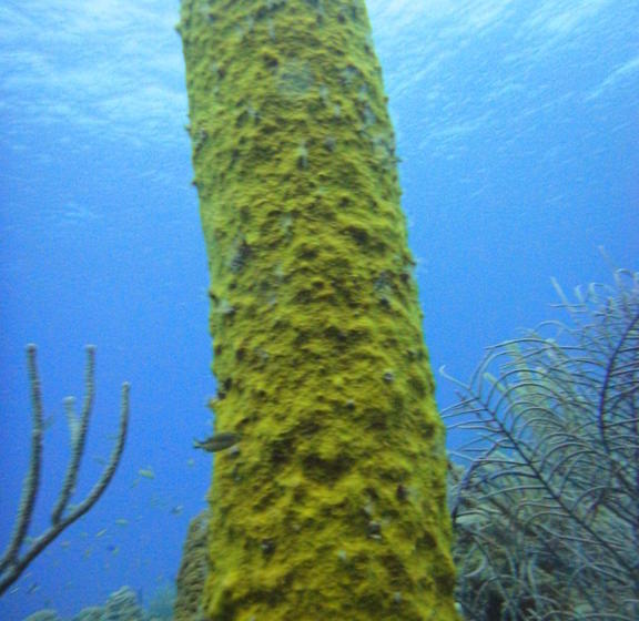 Hotel Sunset | San Andrés | San Andres y Providencia | Colombia 8