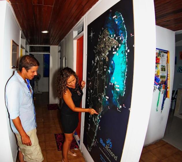 Hotel Blue Almond Hostel San Andres | San Andrés | San Andres y Providencia | Colombia 18