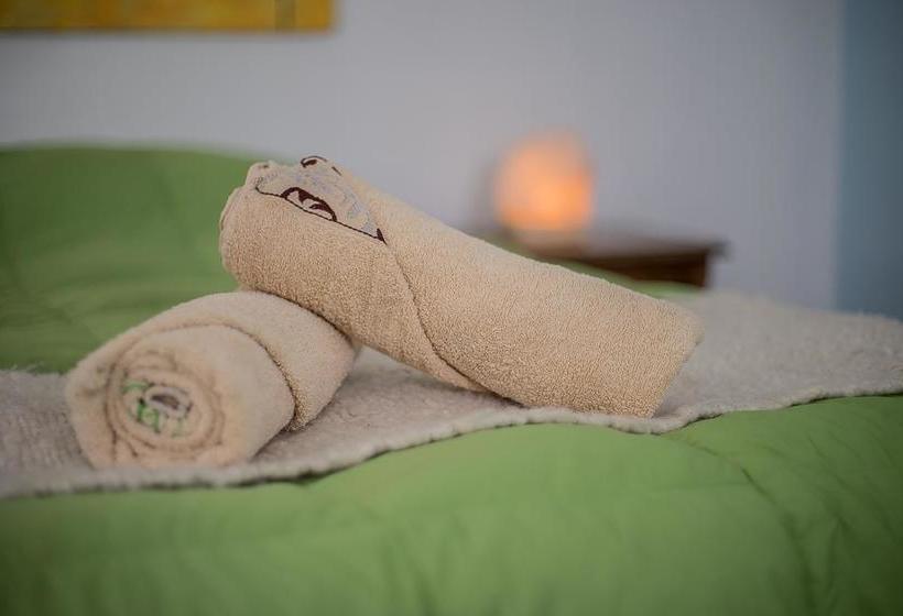 Hotel La Valija Hostel | Valparaíso | Valparaiso | Chile 17