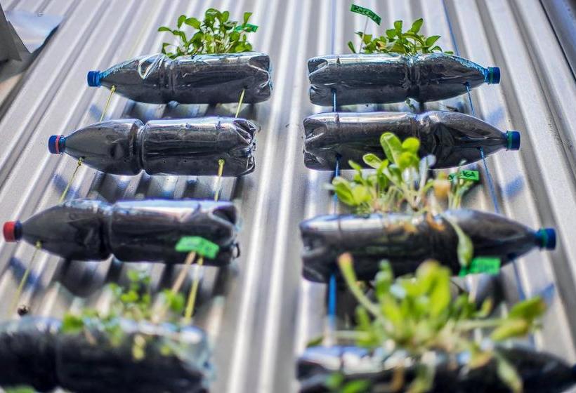 Hotel La Valija Hostel | Valparaíso | Valparaiso | Chile 4