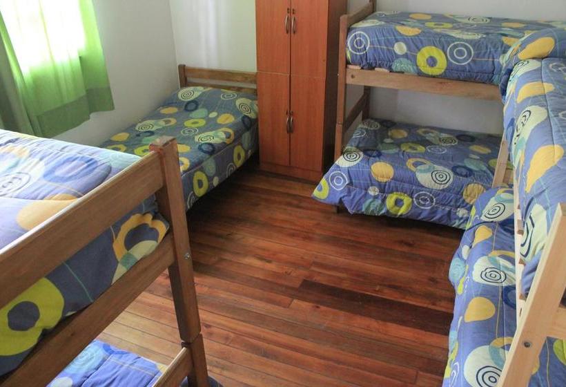 Hotel Lemuria Hostel | Valparaíso | Valparaiso | Chile 3