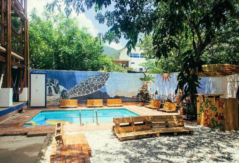 La Tortuga Hostel Magdalena