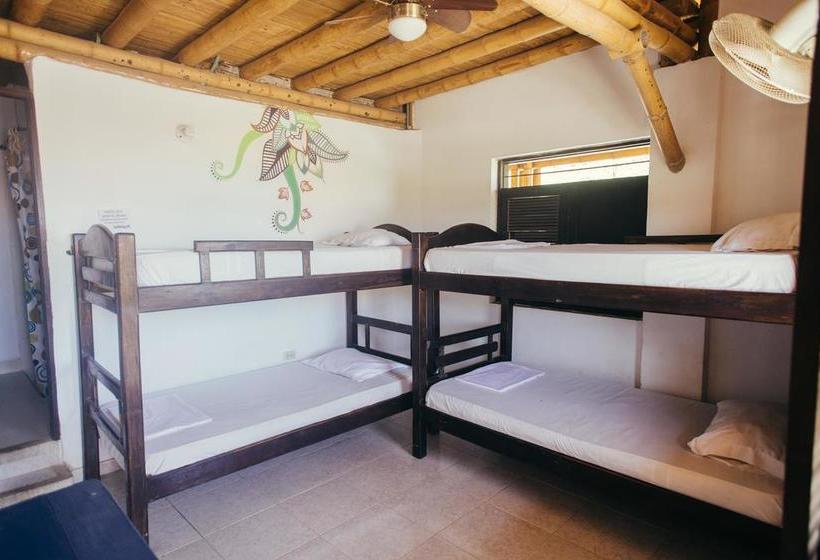 La Tortuga Hostel | Taganga | Magdalena | Colombia 11