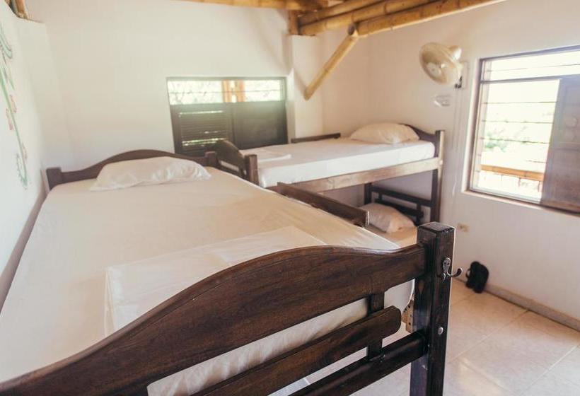 La Tortuga Hostel | Taganga | Magdalena | Colombia 12