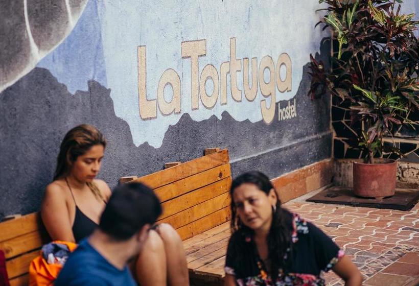 La Tortuga Hostel | Taganga | Magdalena | Colombia 19