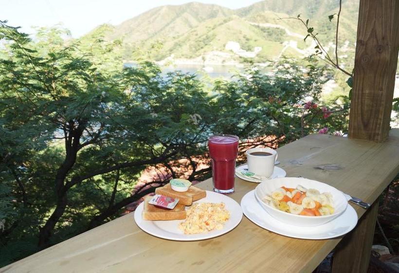 Hotel Cactus Taganga | Taganga | Magdalena | Colombia 2