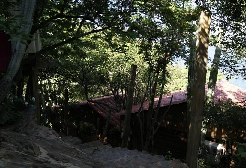 Hotel Cactus Taganga | Taganga | Magdalena | Colombia 5