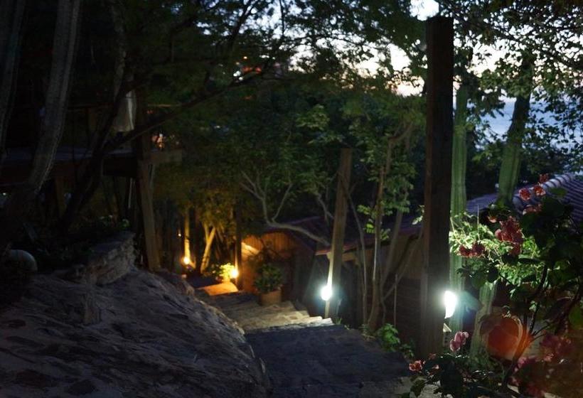 Hotel Cactus Taganga | Taganga | Magdalena | Colombia 6