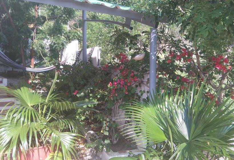 Hotel Taganga Oasis Aparta | Taganga | Magdalena | Colombia 10