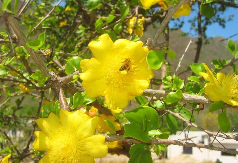 Hotel Taganga Oasis Aparta | Taganga | Magdalena | Colombia 16