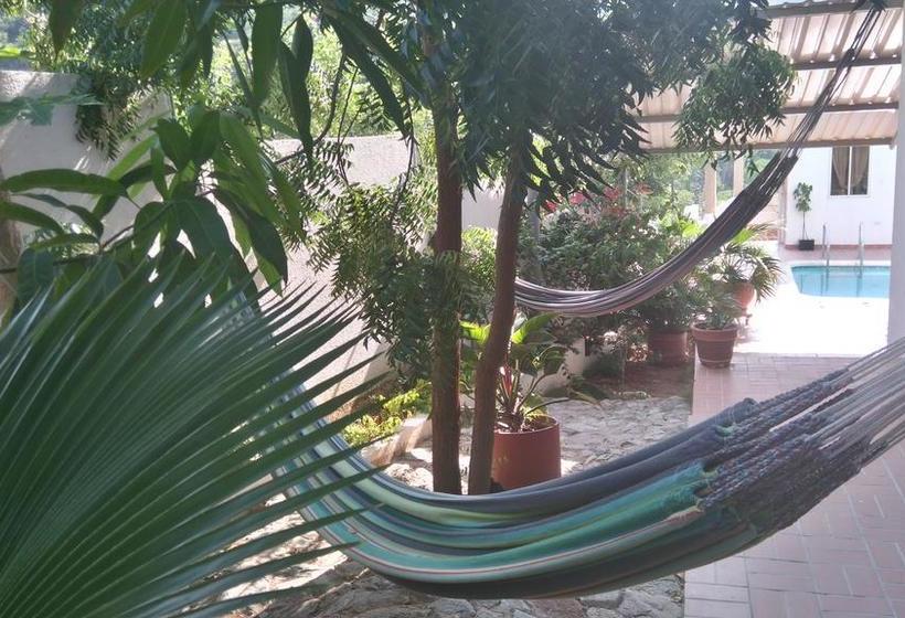 Hotel Taganga Oasis Aparta | Taganga | Magdalena | Colombia 9