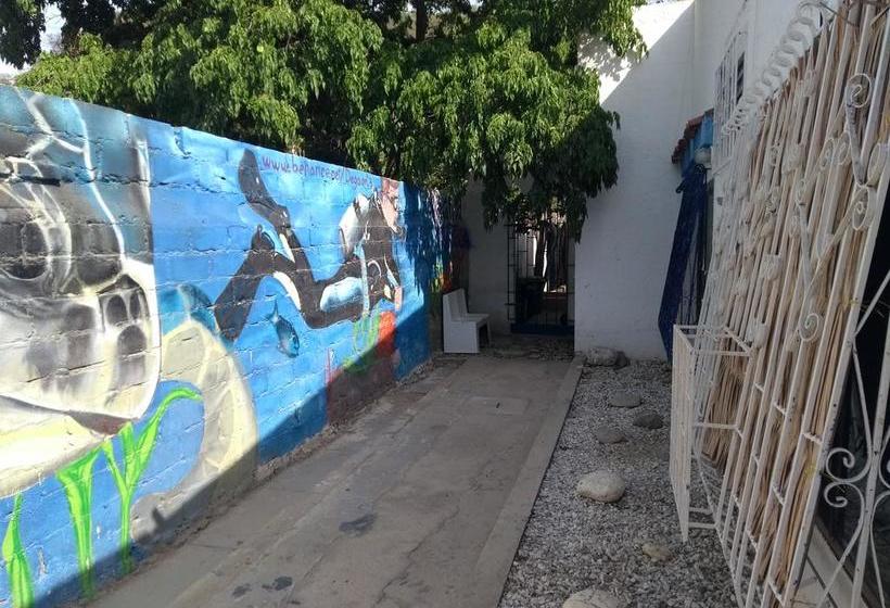 Albergue Taganga Paradise Hostal & Diving | Taganga | Magdalena | Colombia 1