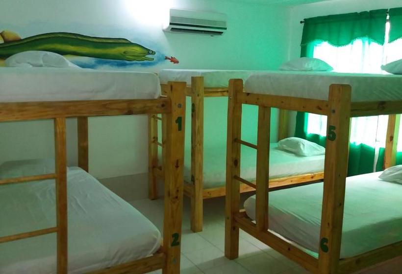 Albergue Taganga Paradise Hostal & Diving | Taganga | Magdalena | Colombia 11