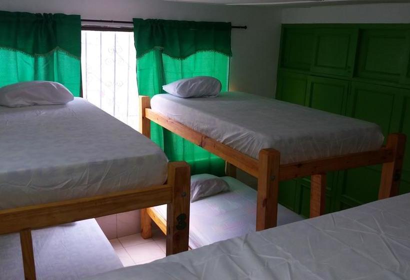 Albergue Taganga Paradise Hostal & Diving | Taganga | Magdalena | Colombia 12