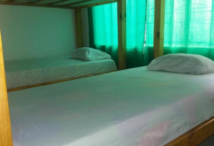 Albergue Taganga Paradise Hostal & Diving | Taganga | Magdalena | Colombia 14