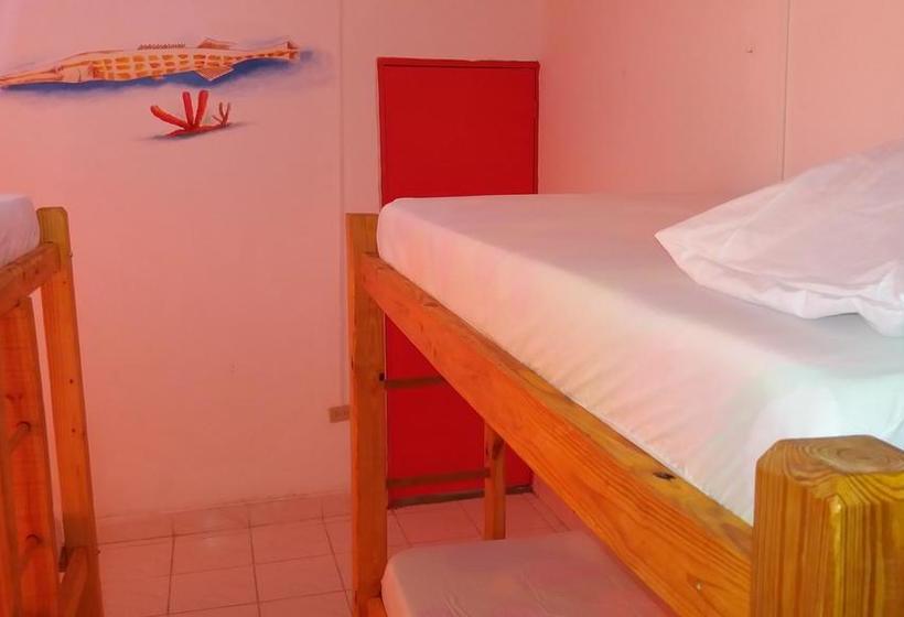 Albergue Taganga Paradise Hostal & Diving | Taganga | Magdalena | Colombia 17