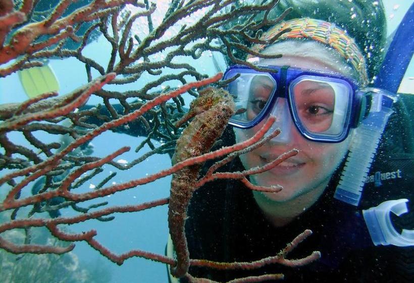 Albergue Taganga Paradise Hostal & Diving | Taganga | Magdalena | Colombia 20