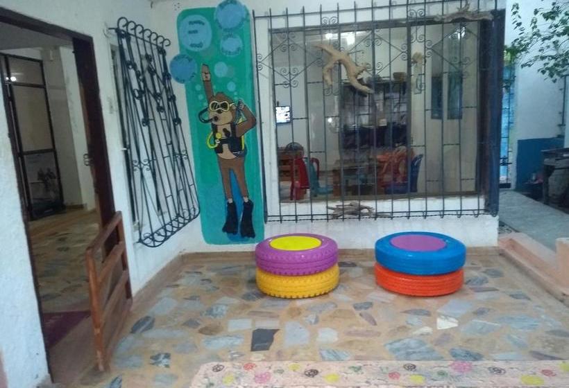 Albergue Taganga Paradise Hostal & Diving | Taganga | Magdalena | Colombia 3