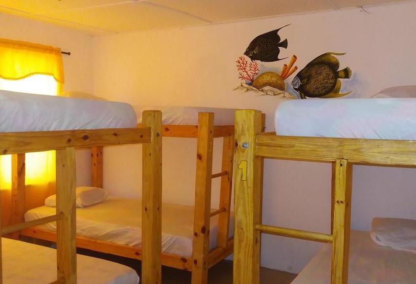 Albergue Taganga Paradise Hostal & Diving | Taganga | Magdalena | Colombia 9