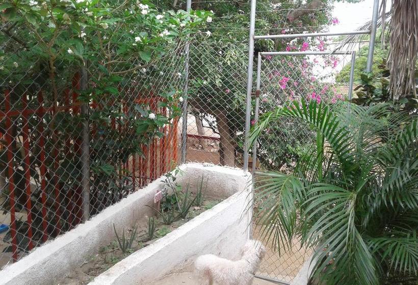 Latin Hostel | Taganga | Magdalena | Colombia 5