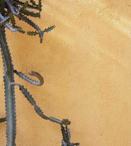 Albergue Villa Mandela Taganga | Taganga | Magdalena | Colombia 10