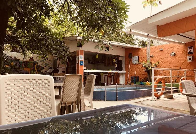 Hotel Taganga Dive Inn | Taganga | Magdalena | Colombia 5