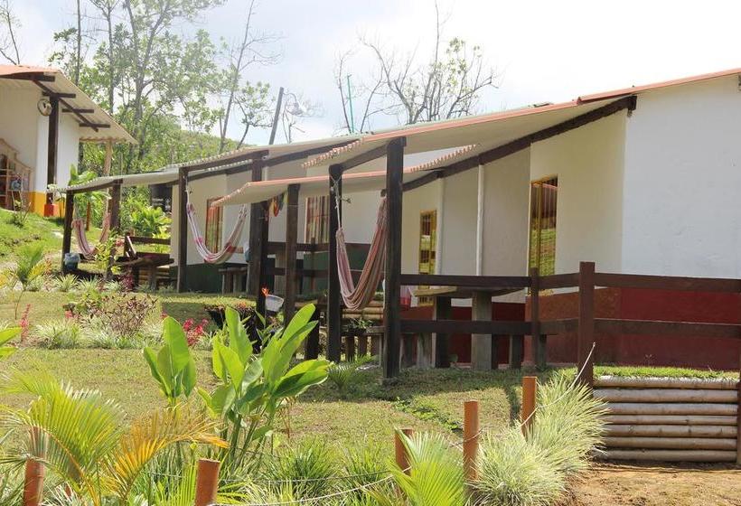 Hotel Casa Campestre Terrazas Del Palmar | Montenegro | Quindío | Colombia 12