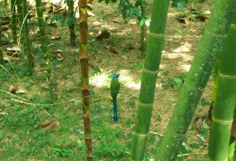 Hotel Casa Campestre Terrazas Del Palmar | Montenegro | Quindío | Colombia 2