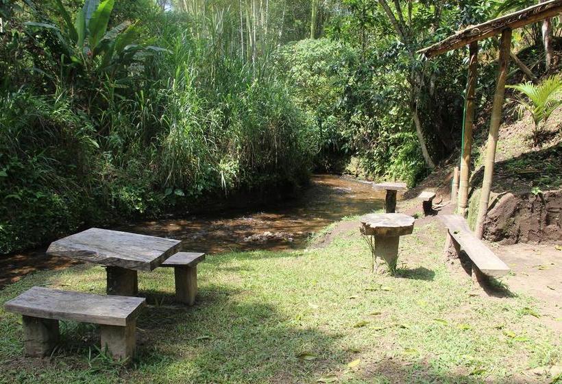 Hotel Casa Campestre Terrazas Del Palmar | Montenegro | Quindío | Colombia 6