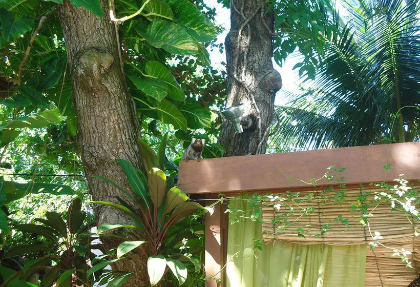 Hotel Pousada Tamandua  | Praia de Pipa | Rio Grande do Norte | Brasil 15