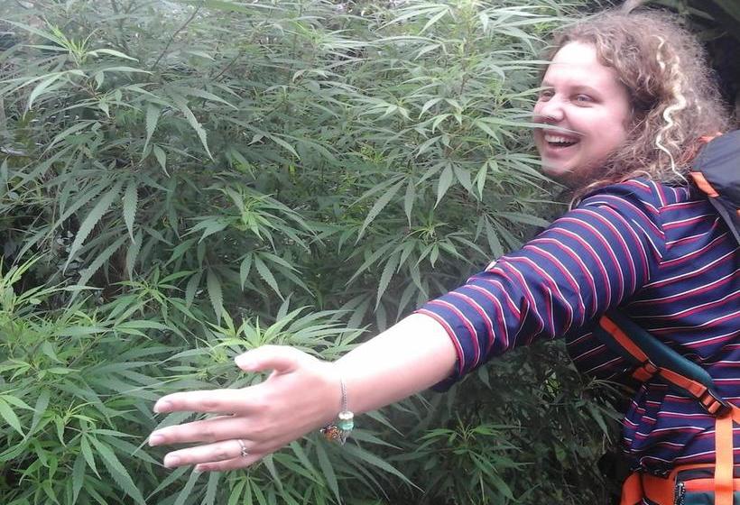 Albergue Hostal Los 3 Leones | Salento | Quindío | Colombia 4