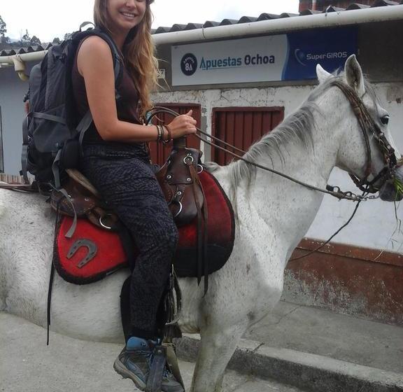 Albergue Hostal Los 3 Leones | Salento | Quindío | Colombia 7