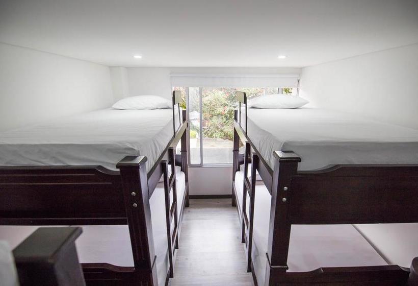 Albergue Hostal Cattleya Medellin | Medellín | Antioquia | Colombia 4