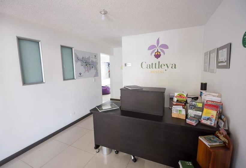 Albergue Hostal Cattleya Medellin | Medellín | Antioquia | Colombia 5