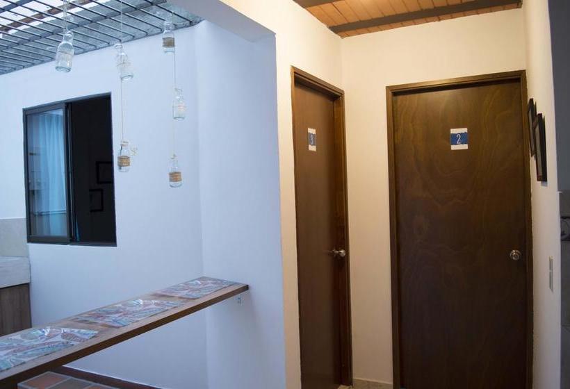 Albergue El Descanso Donde Sara | Medellín | Antioquia | Colombia 14