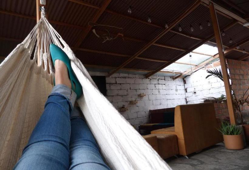 Albergue El Descanso Donde Sara | Medellín | Antioquia | Colombia 16
