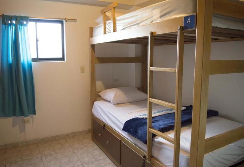 Albergue El Descanso Donde Sara | Medellín | Antioquia | Colombia 8