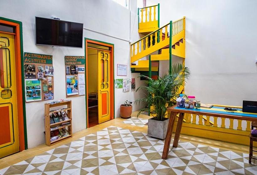 Golden Frog Mountain Hostel | Manizales | Caldas | Colombia 1