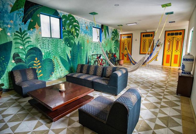 Golden Frog Mountain Hostel | Manizales | Caldas | Colombia 10