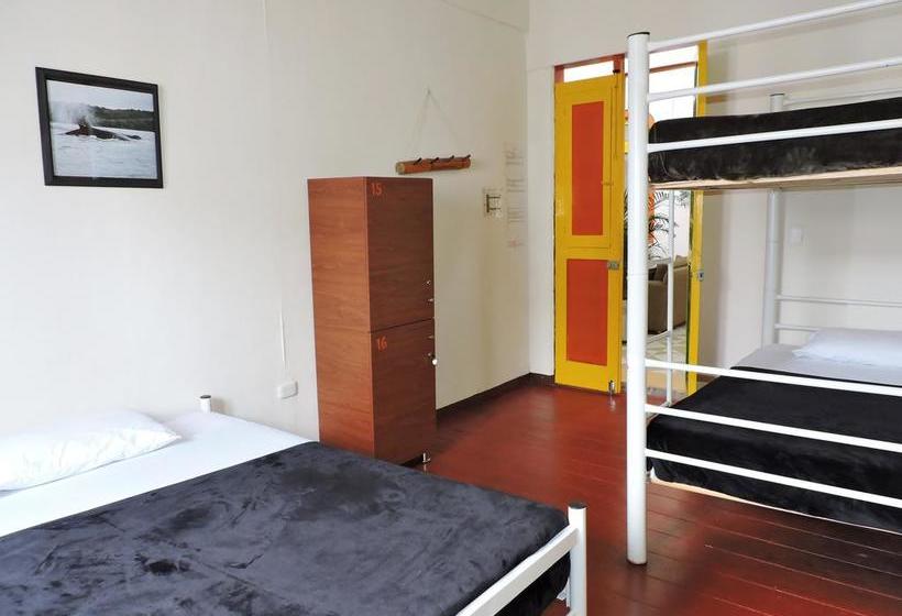 Golden Frog Mountain Hostel | Manizales | Caldas | Colombia 11