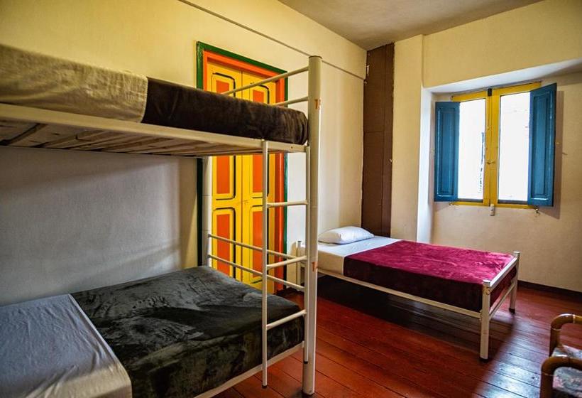 Golden Frog Mountain Hostel | Manizales | Caldas | Colombia 12