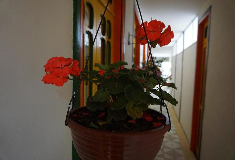 Golden Frog Mountain Hostel | Manizales | Caldas | Colombia 17