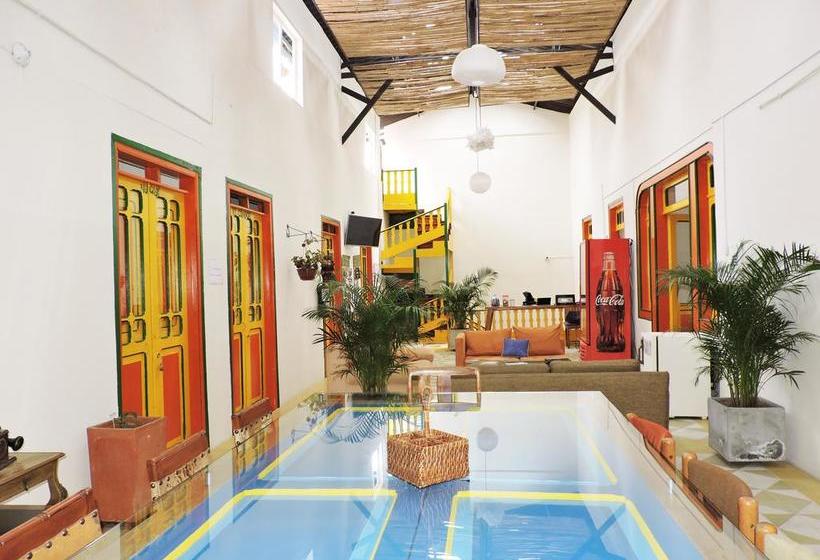 Golden Frog Mountain Hostel | Manizales | Caldas | Colombia 2