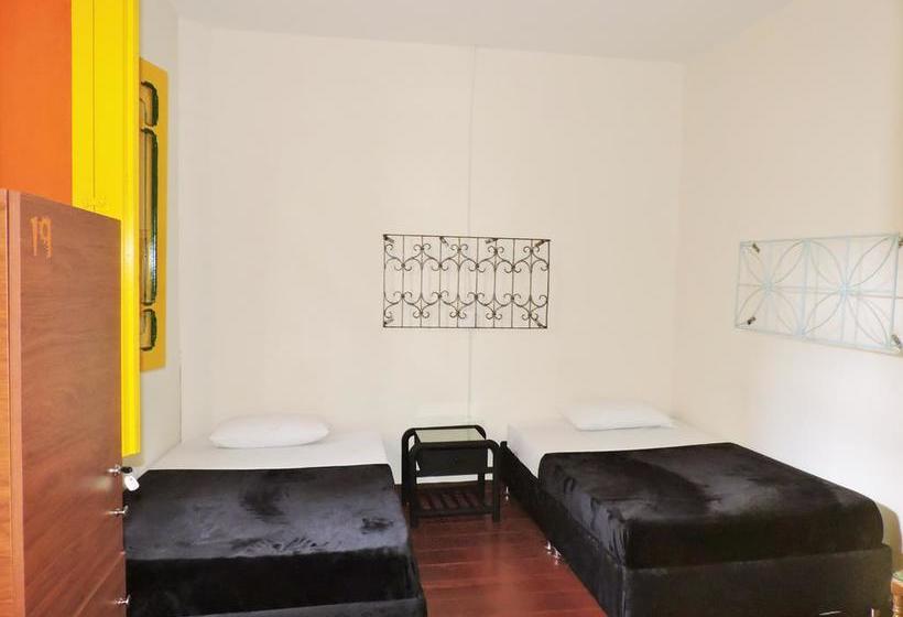 Golden Frog Mountain Hostel | Manizales | Caldas | Colombia 4