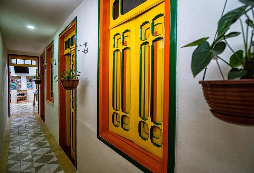 Golden Frog Mountain Hostel | Manizales | Caldas | Colombia 7