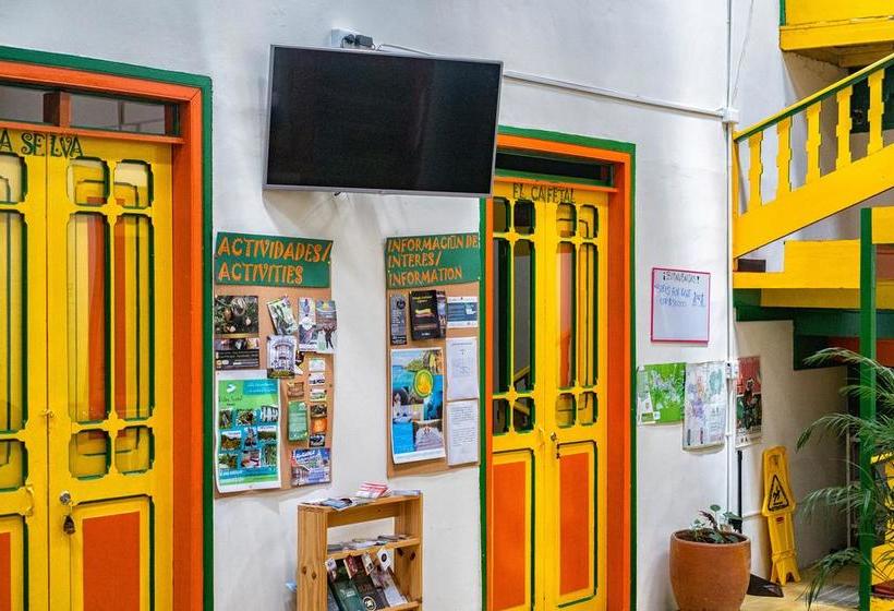 Golden Frog Mountain Hostel | Manizales | Caldas | Colombia 8