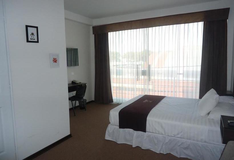 Lm Hoteles | Piura | Piura | Perú 11