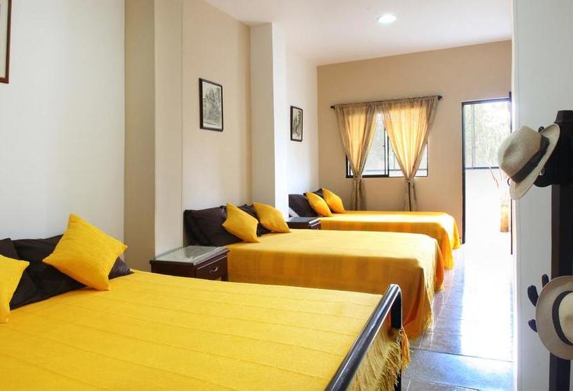 Hotel Balcones Del Ayer | Salento | Quindío | Colombia 6