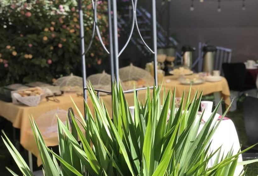 Hotel Grace Valley | Arequipa | Arequipa | Perú 17