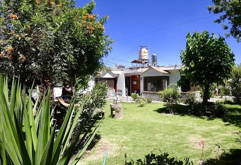 Hotel Grace Valley | Arequipa | Arequipa | Perú 9